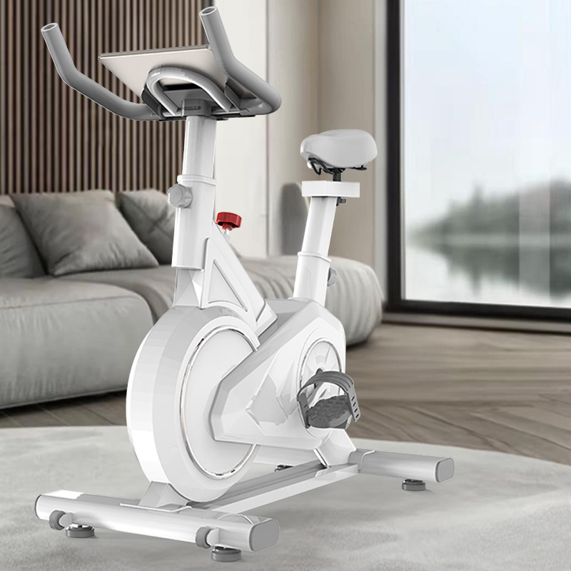 Intelligent Spinning Bike Home - Exercise Bike Magnetic Resistance review and price