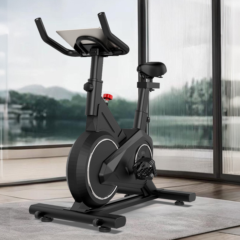 Intelligent Spinning Bike Home - Exercise Bike Magnetic Resistance review and price